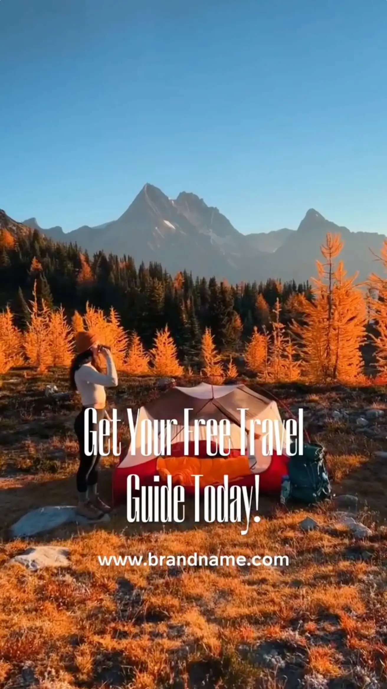 Pippit showcase cover