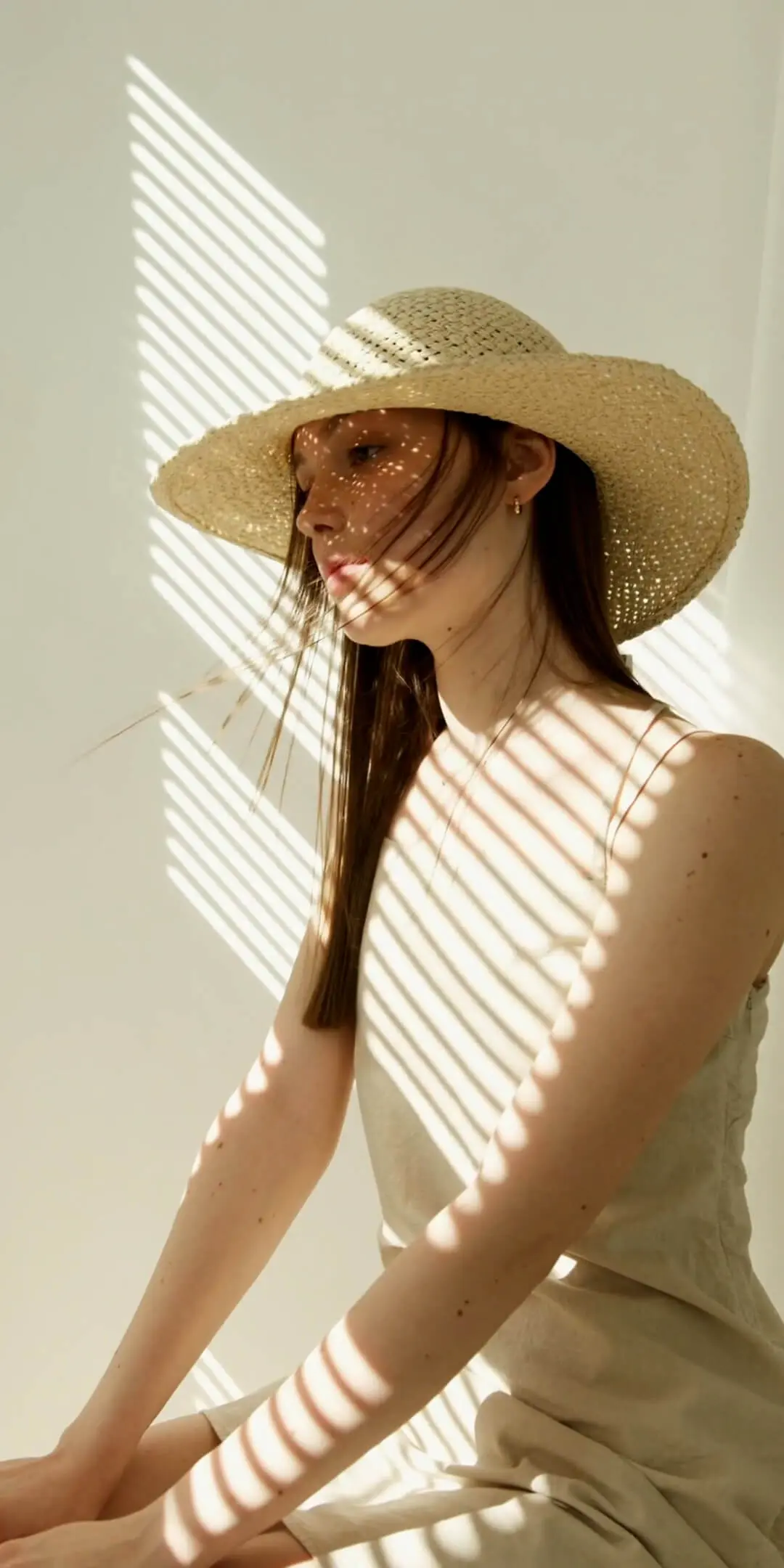 Pippit showcase cover