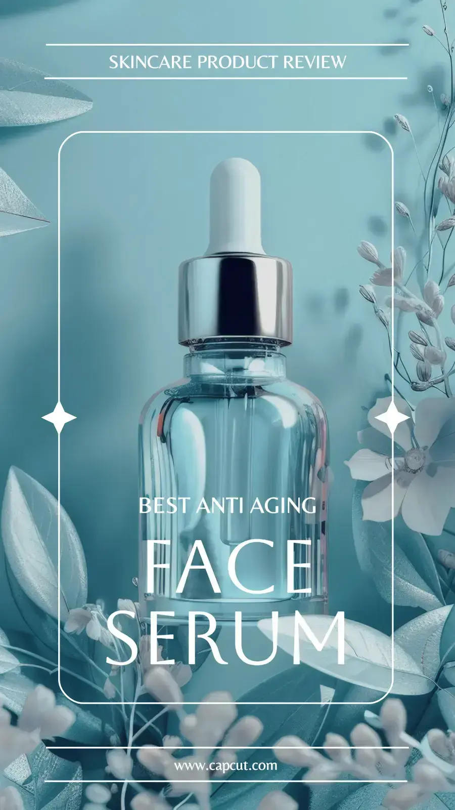 Pippit showcase cover