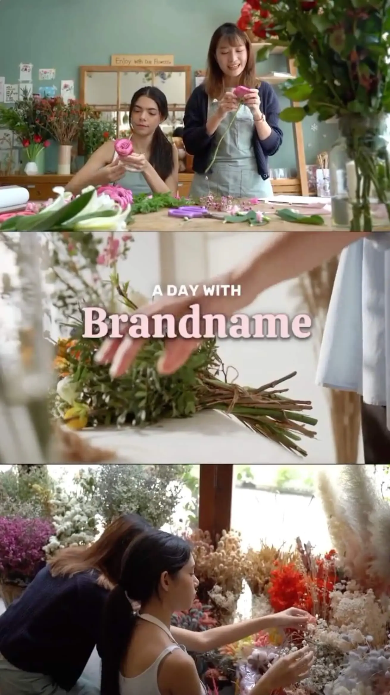 Pippit showcase cover