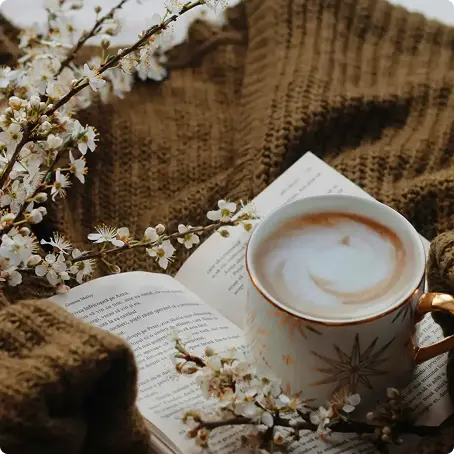 Pippit showcase cover