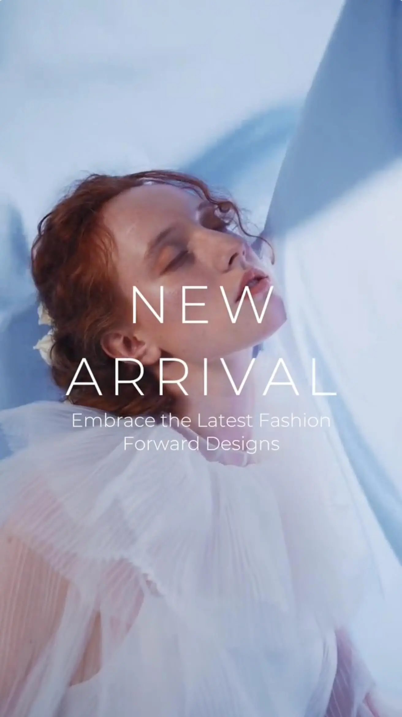 Pippit showcase cover