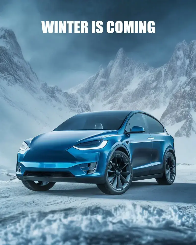 Pippit showcase cover